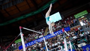 gaf gara 2 sfe09673 copia simone ferraro ph